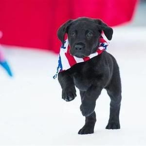 Meet your Posher, Nona